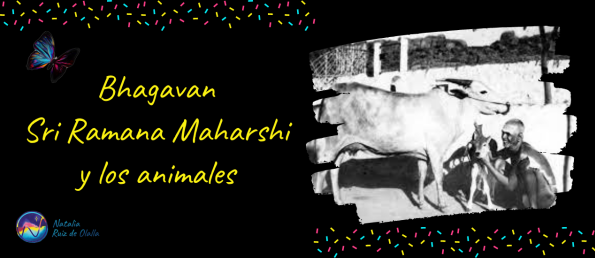 Bhagavan Sri Ramana Maharshi y los animales