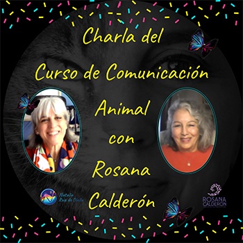 Charla del curso de Comunicación Animal con Rosana Calderón