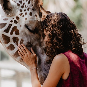 Curso de Comunicación Animal